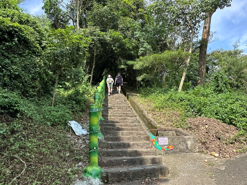 feifong04 芎林-飛鳳山輕鬆走 夏日午後上山躲豔陽賞落日