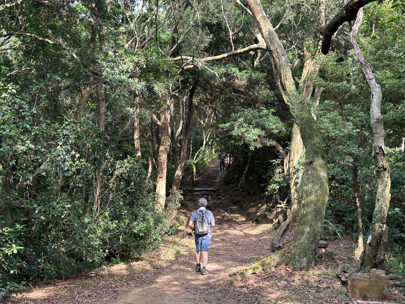 feifong12 芎林-飛鳳山輕鬆走 夏日午後上山躲豔陽賞落日