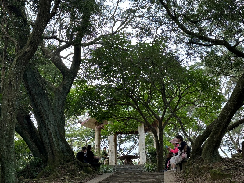 feifong14 芎林-飛鳳山輕鬆走 夏日午後上山躲豔陽賞落日