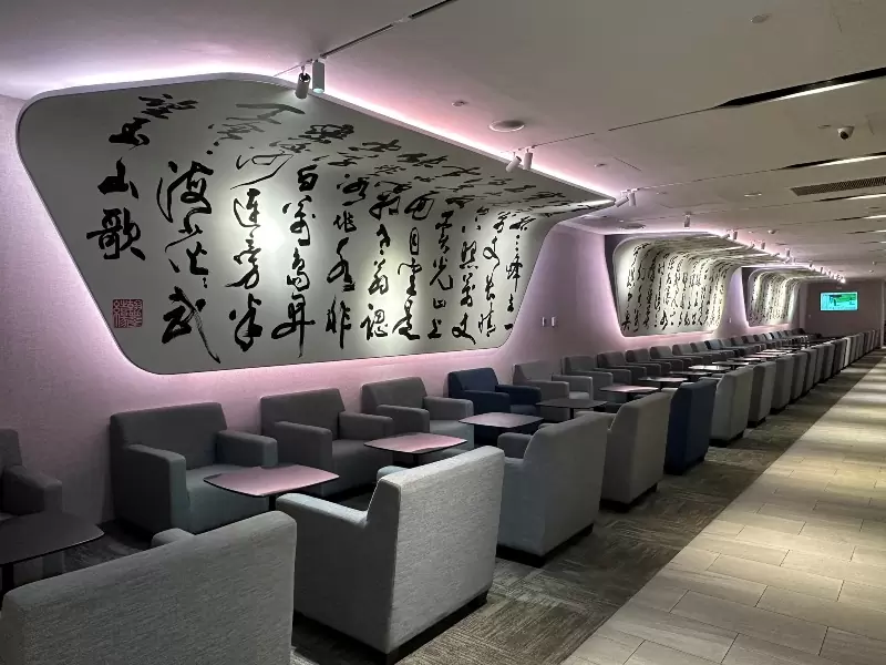 TPENRTICN05 202508-桃園成田仁川 颱風攪局的行程