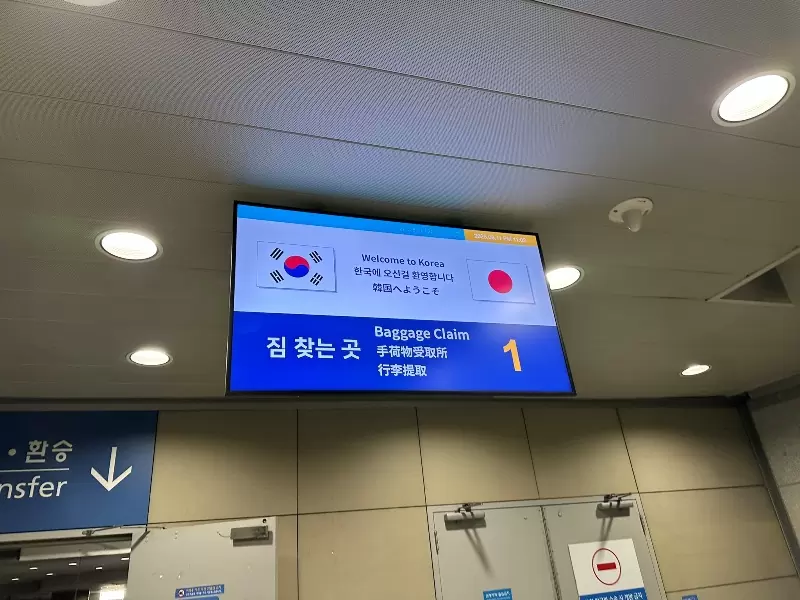 TPENRTICN10 202508-桃園成田仁川 颱風攪局的行程