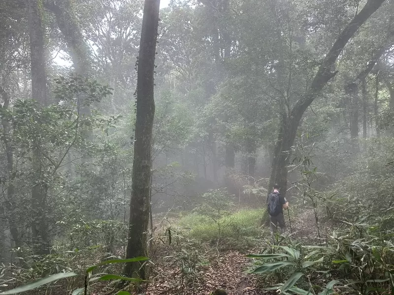 goosemt10 五峰-鵝公髻山 美麗林相一路相隨(山上人家登山口)