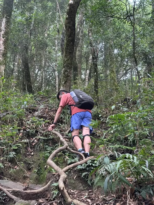 goosemt15 五峰-鵝公髻山 美麗林相一路相隨(山上人家登山口)