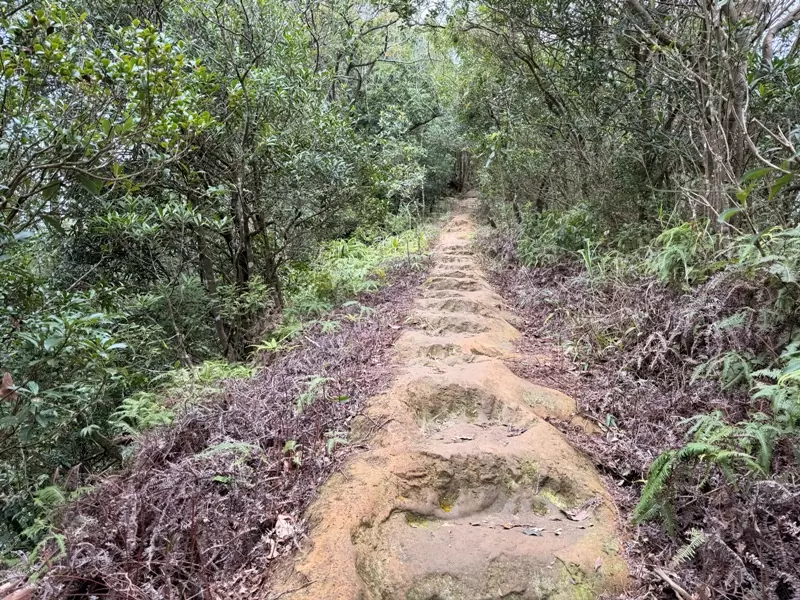huangdidien37 石碇-皇帝殿 北部三大岩場 20年後再訪