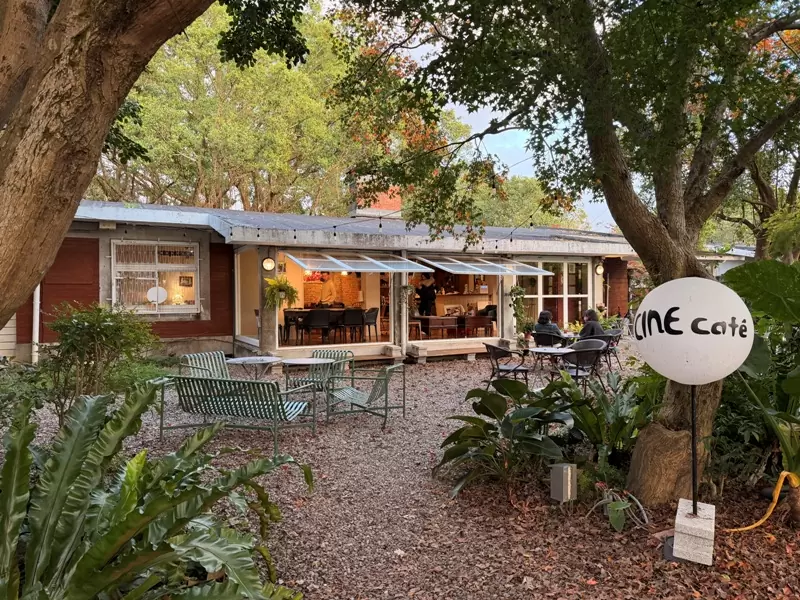 士林-戲咖啡 陽明山美軍宿舍的冬日暖陽 超Chill