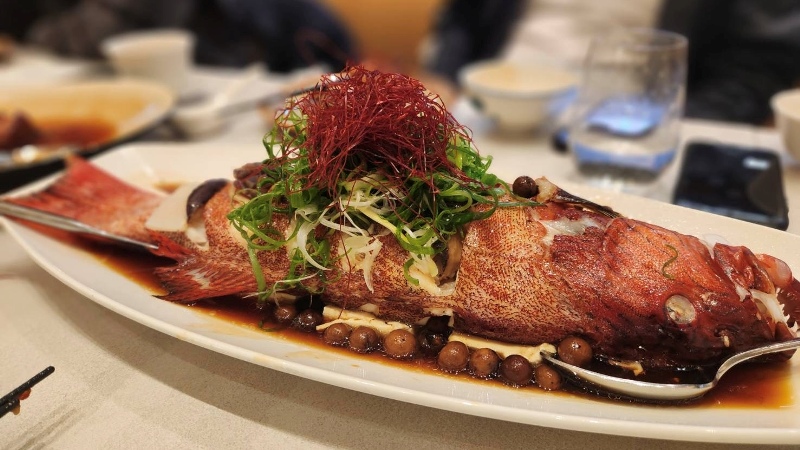 fujitreefood16 信義-富錦樹台菜香檳101 米其林星級台菜初體驗