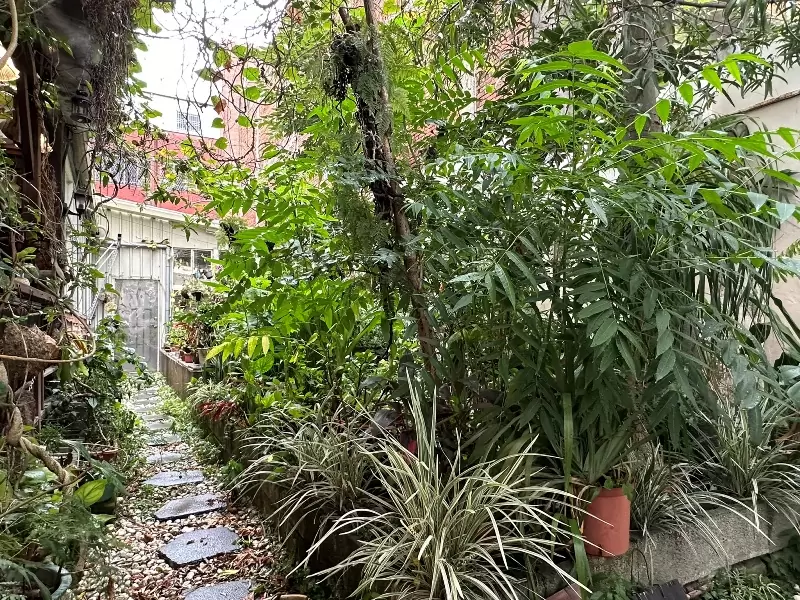 grasscafe08 中壢-艸緣⟢女巫焙煎所 室內外兩種風情