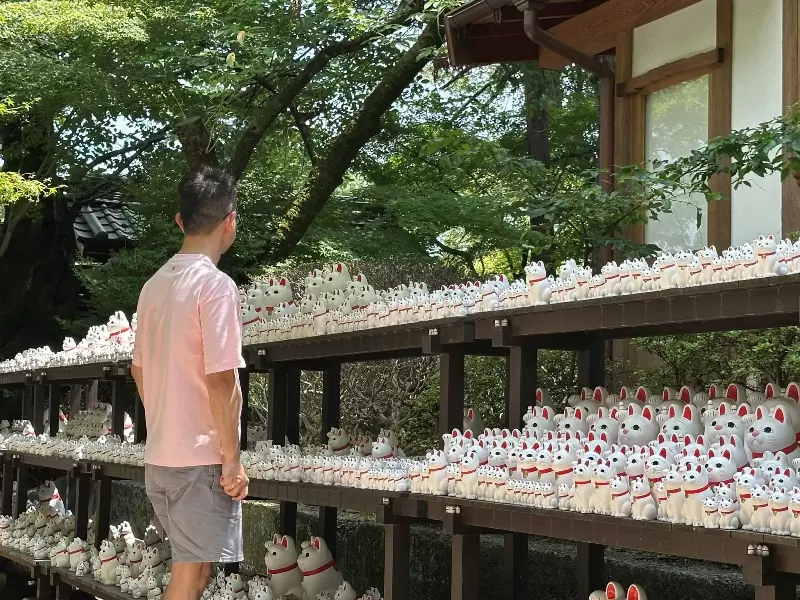 Setagaya-盛夏與招財貓的相遇在世田谷豪德寺
