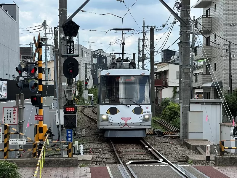 Gotoguji02 Setagaya-盛夏與招財貓的相遇在世田谷豪德寺
