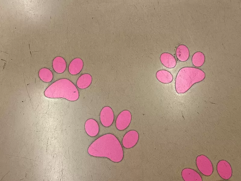 Gotoguji04 Setagaya-盛夏與招財貓的相遇在世田谷豪德寺