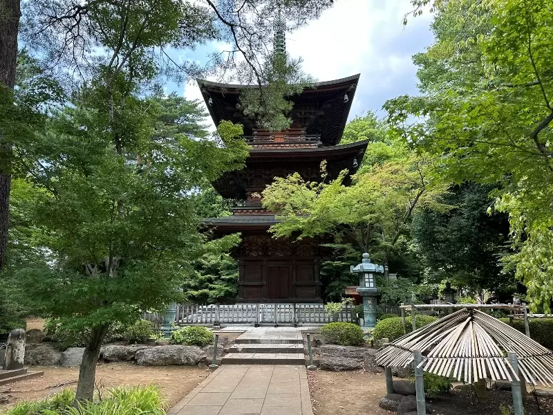 Gotoguji07 Setagaya-盛夏與招財貓的相遇在世田谷豪德寺