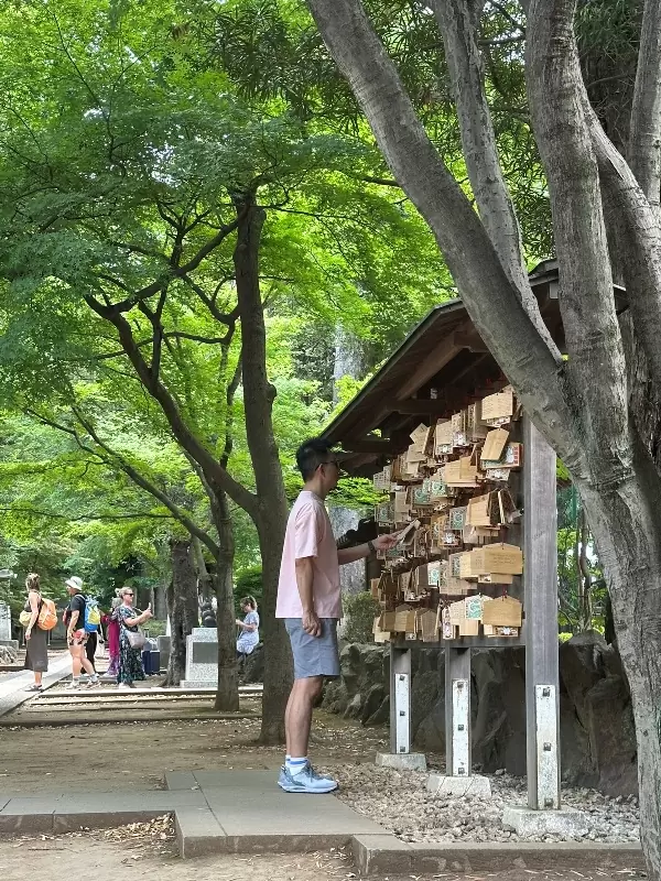 Gotoguji08 Setagaya-盛夏與招財貓的相遇在世田谷豪德寺