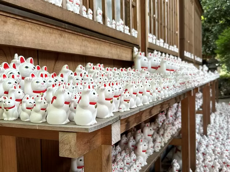 Gotoguji11 Setagaya-盛夏與招財貓的相遇在世田谷豪德寺