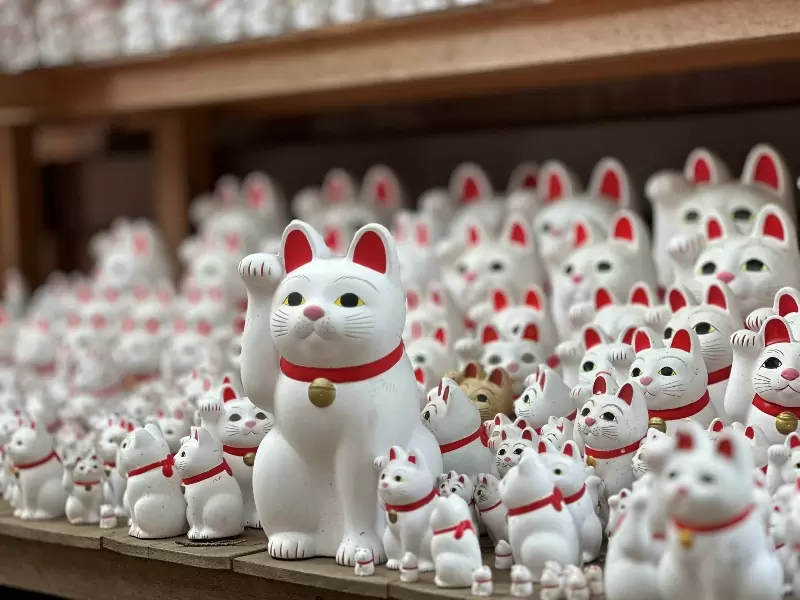 Gotoguji12 Setagaya-盛夏與招財貓的相遇在世田谷豪德寺