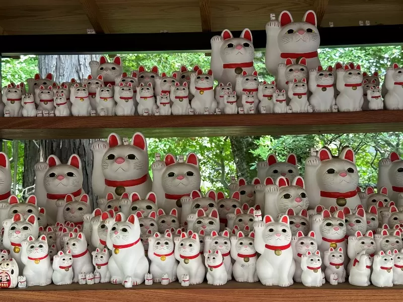 Gotoguji13 Setagaya-盛夏與招財貓的相遇在世田谷豪德寺