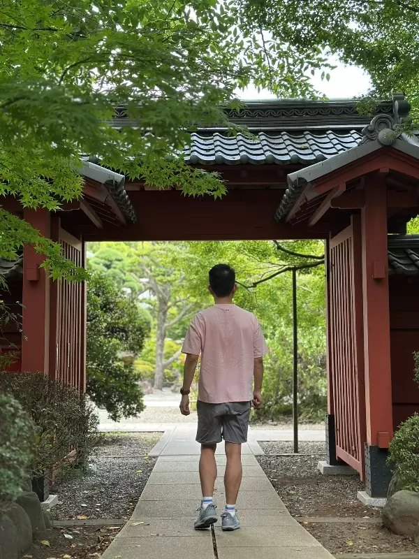 Gotoguji15 Setagaya-盛夏與招財貓的相遇在世田谷豪德寺