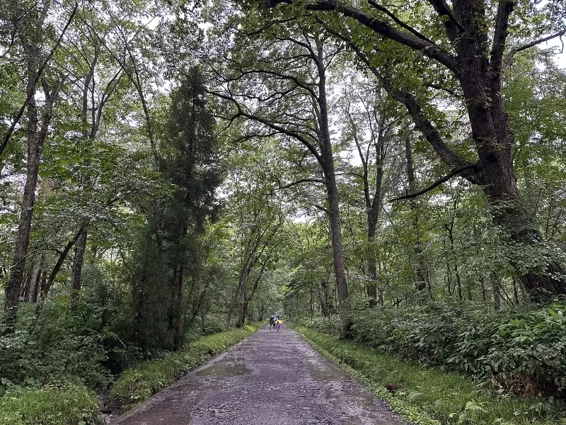 togukashi02 Togakuchi-戶隱神社奧社 鏡池 神秘又壯觀