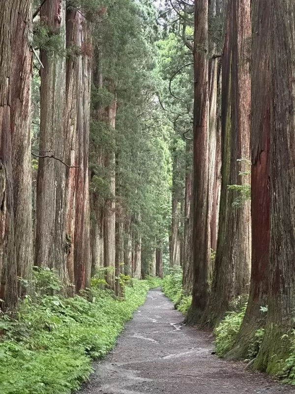 togukashi03 Togakuchi-戶隱神社奧社 鏡池 神秘又壯觀