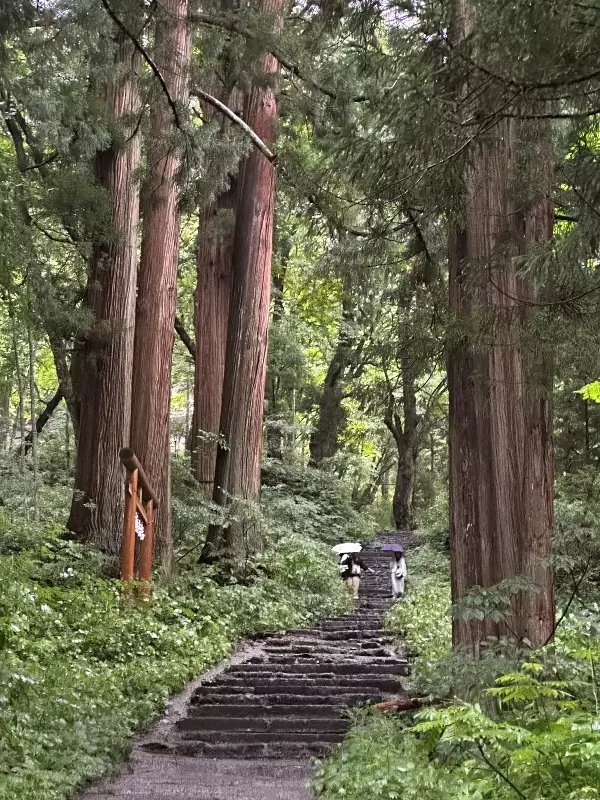togukashi04 Togakuchi-戶隱神社奧社 鏡池 神秘又壯觀