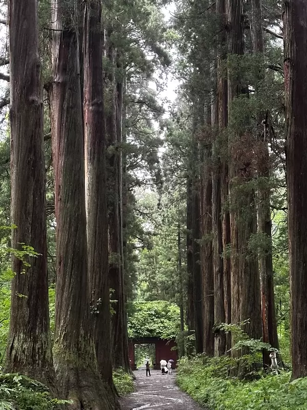togukashi05 Togakuchi-戶隱神社奧社 鏡池 神秘又壯觀