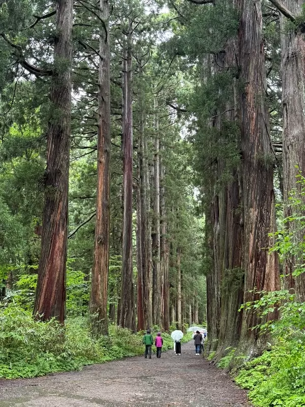 togukashi15 Togakuchi-戶隱神社奧社 鏡池 神秘又壯觀