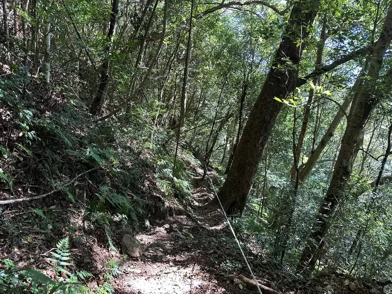 lidong08 尖石-李棟山 從山莊到古堡滿是文化底蘊的小百岳