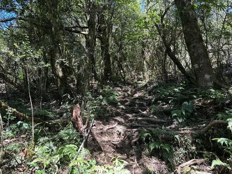 lidong09 尖石-李棟山 從山莊到古堡滿是文化底蘊的小百岳