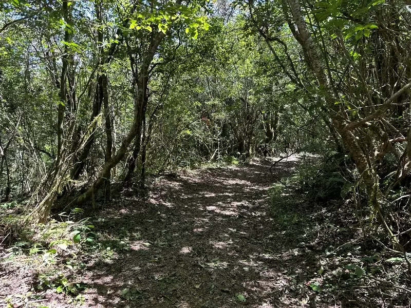 lidong14 尖石-李棟山 從山莊到古堡滿是文化底蘊的小百岳