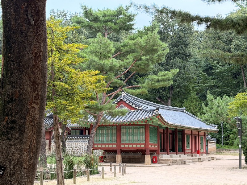 seoulworship03 Ikseon Dong-世界文化遺產 宗廟 + 清水堂 韓屋咖啡館