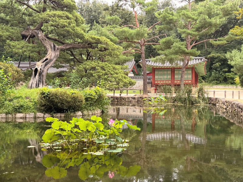 seoulworship04 Ikseon Dong-世界文化遺產 宗廟 + 清水堂 韓屋咖啡館