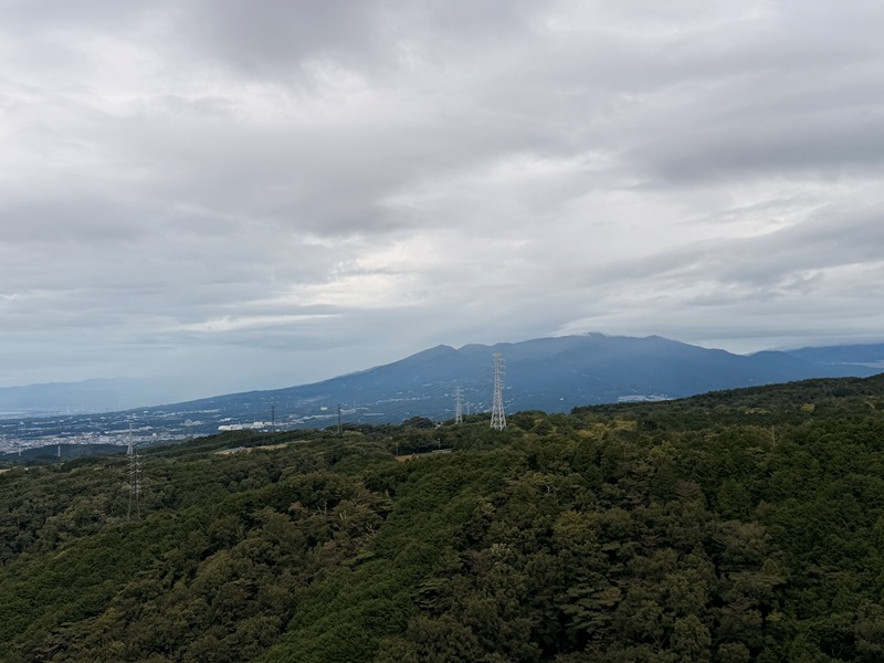 mishima06 Mishima-最長的人型吊橋 三島Skywalk 賞富士山與駿河灣美景 嚐三島鰻魚百年老店 櫻家