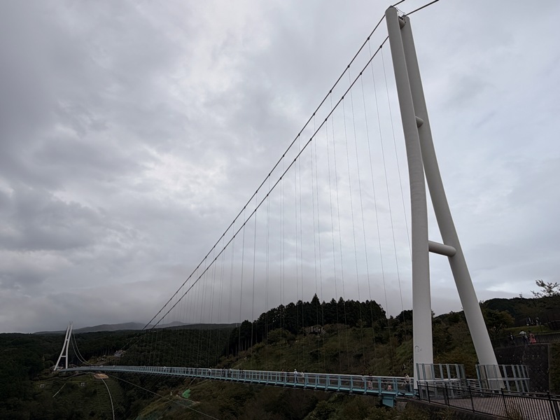 mishima08 Mishima-最長的人型吊橋 三島Skywalk 賞富士山與駿河灣美景 嚐三島鰻魚百年老店 櫻家
