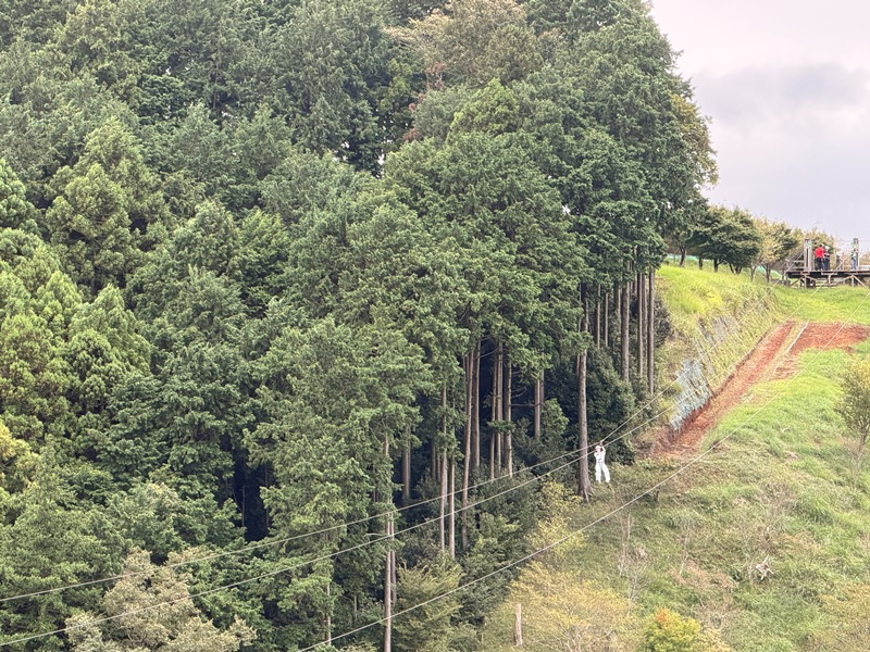 mishima13 Mishima-最長的人型吊橋 三島Skywalk 賞富士山與駿河灣美景 嚐三島鰻魚百年老店 櫻家