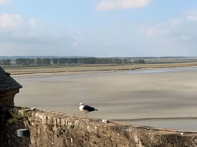 stmichal18 Mont Saint Michel-遺世獨立的天主教聖地 世界文化遺產聖米歇爾山