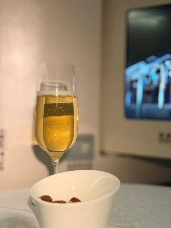 TPECDG08 202510台北-巴黎BR088/087波音777皇璽桂冠艙體驗