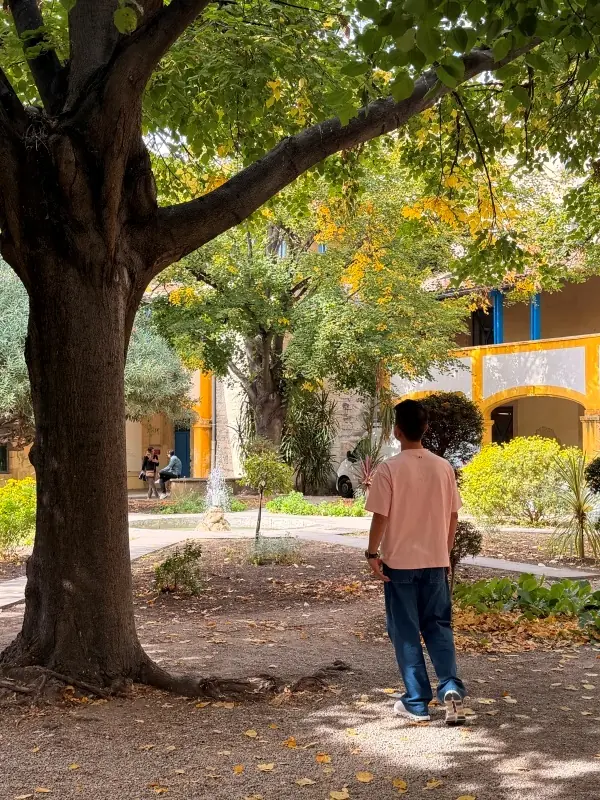 arles5027 Arles-羅馬的榮光與梵谷的生命力  世界文化遺產小鎮亞爾