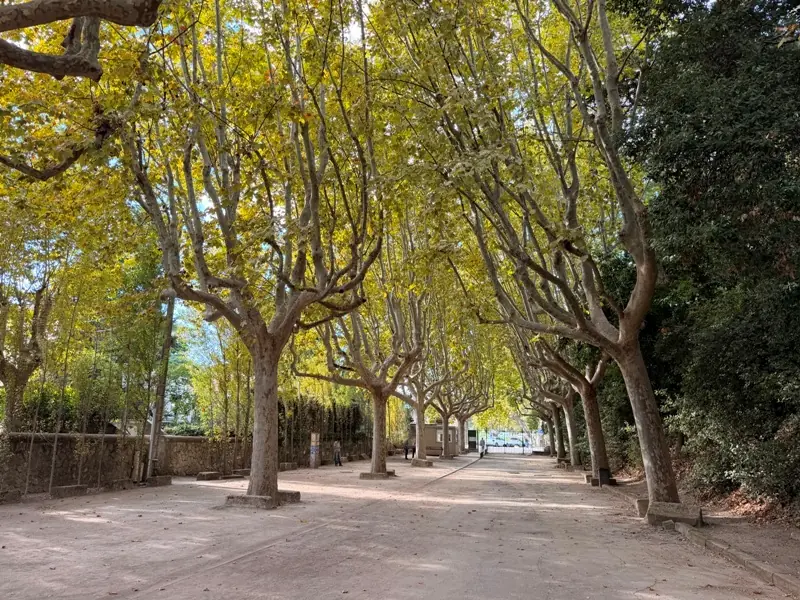 arles5037 Arles-羅馬的榮光與梵谷的生命力  世界文化遺產小鎮亞爾