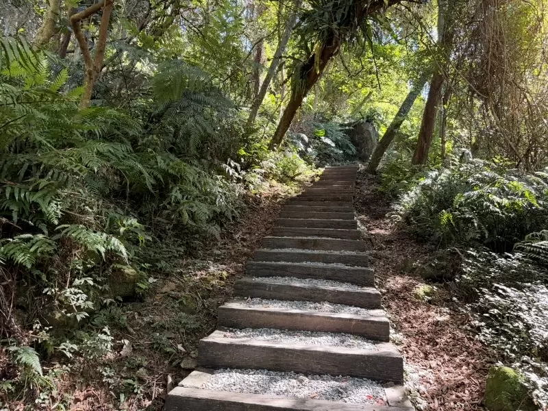 chihnan17 文山-政大指南宮貓空 台北大縱走第七段 未完成