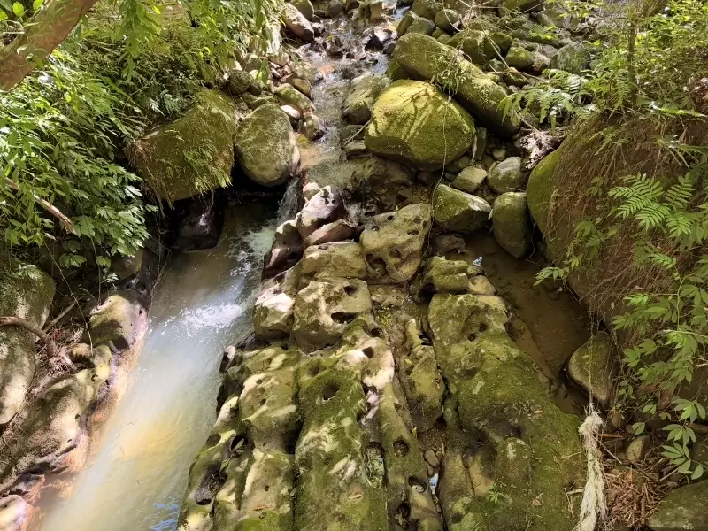 chihnan20 文山-政大指南宮貓空 台北大縱走第七段 未完成