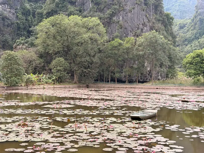 ninhbinh30 Ninh Binh-世界遺產在寧平 長安/華閭/碧洞與臥龍山