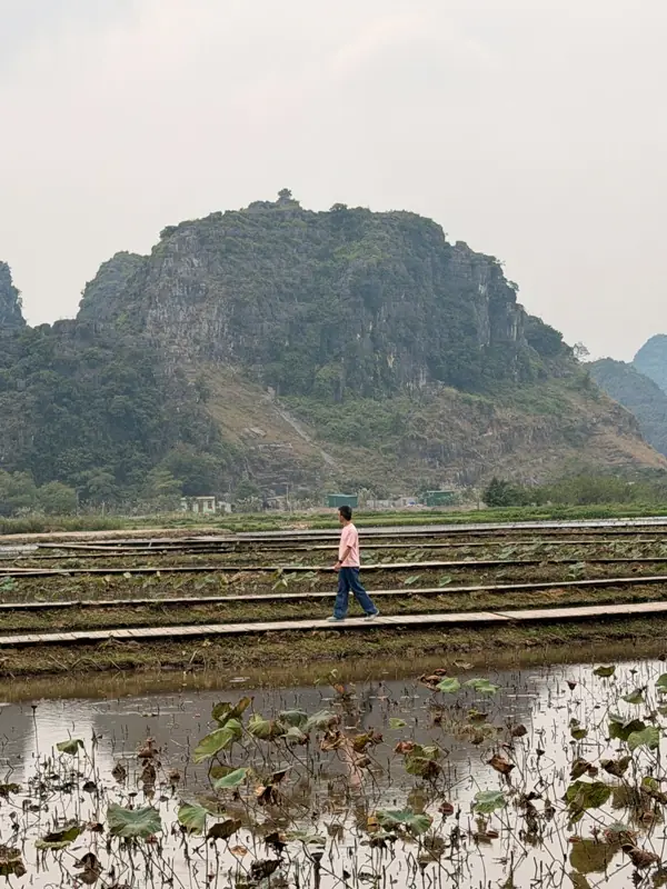 ninhbinh58 Ninh Binh-世界遺產在寧平 長安/華閭/碧洞與臥龍山