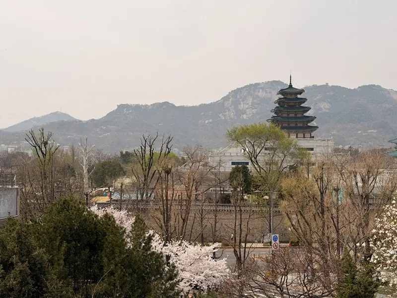 Pyunkang-Yul13 Samcheong Dong-三清洞巷弄裡的春日留白 Pyunkang Yul的茶香
