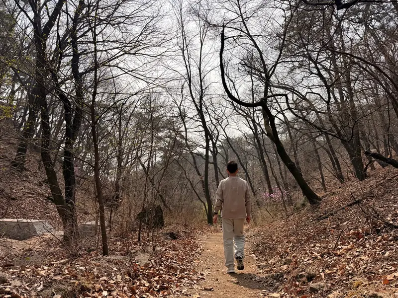 baiyuemt0113 Seoul-鐘路漫步路之登白岳山 一路彰義門/白岳山/青雲台到三清洞