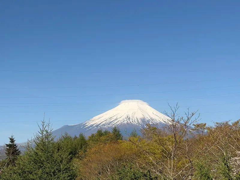 marriottyamanakako14 Yamanakako-山中湖萬豪 山中秘境般的優閒舒適