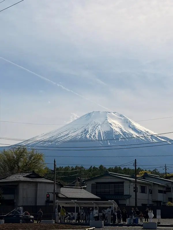 yamanakako12 Yamanakako-自行車環山中湖 春日輕鬆愜意