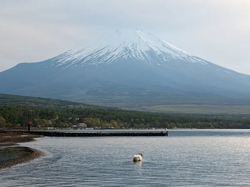 yamanakako16 Yamanakako-自行車環山中湖 春日輕鬆愜意
