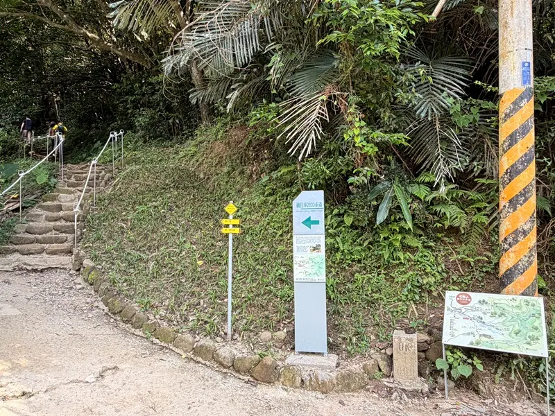 feifong06 芎林-飛鳳山 觀日坪古道O型健走 夏日午後最佳解
