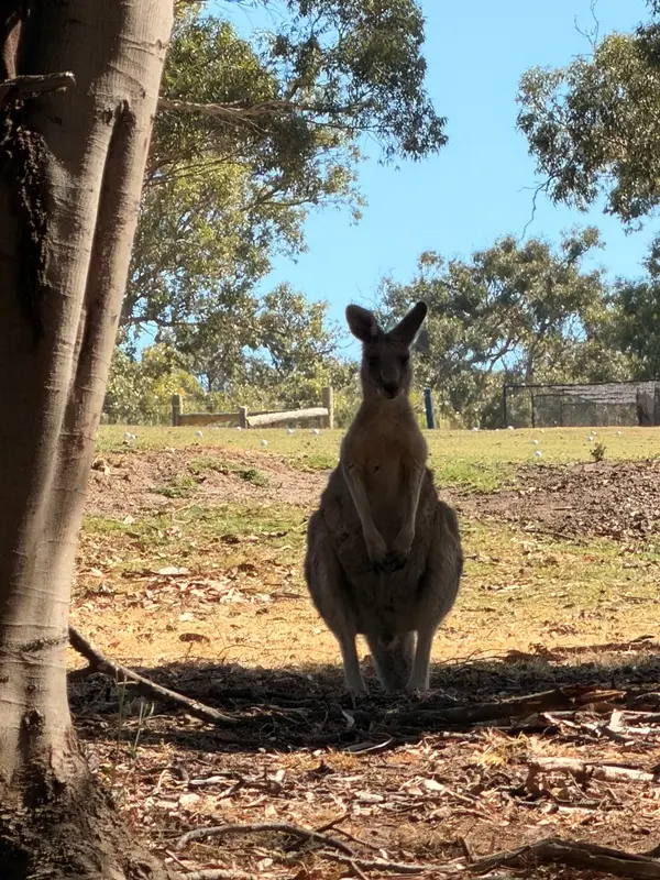 greatoceanroad20 Melbourne-Great Ocean Road超美海岸公路 大洋路