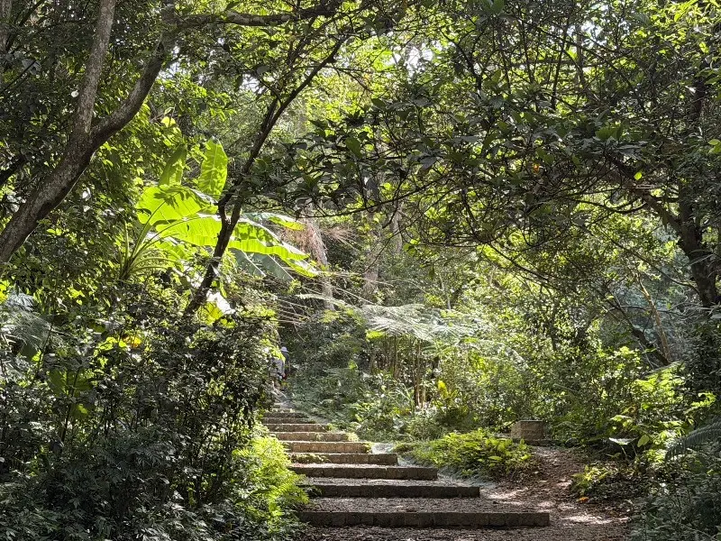 shimenmt2205 龍潭-石門山 小百岳賞石門水庫 O型路線很輕鬆