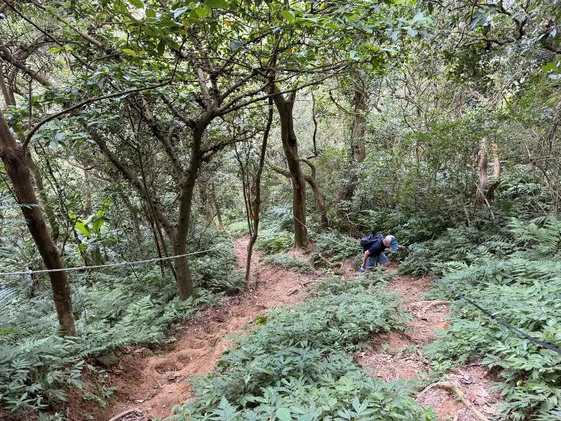 shimenmt2211 龍潭-石門山 小百岳賞石門水庫 O型路線很輕鬆